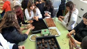 Los alumnos de institutos de Marbella elaboran las bolas de arcilla para repoblar el entorno dunar.