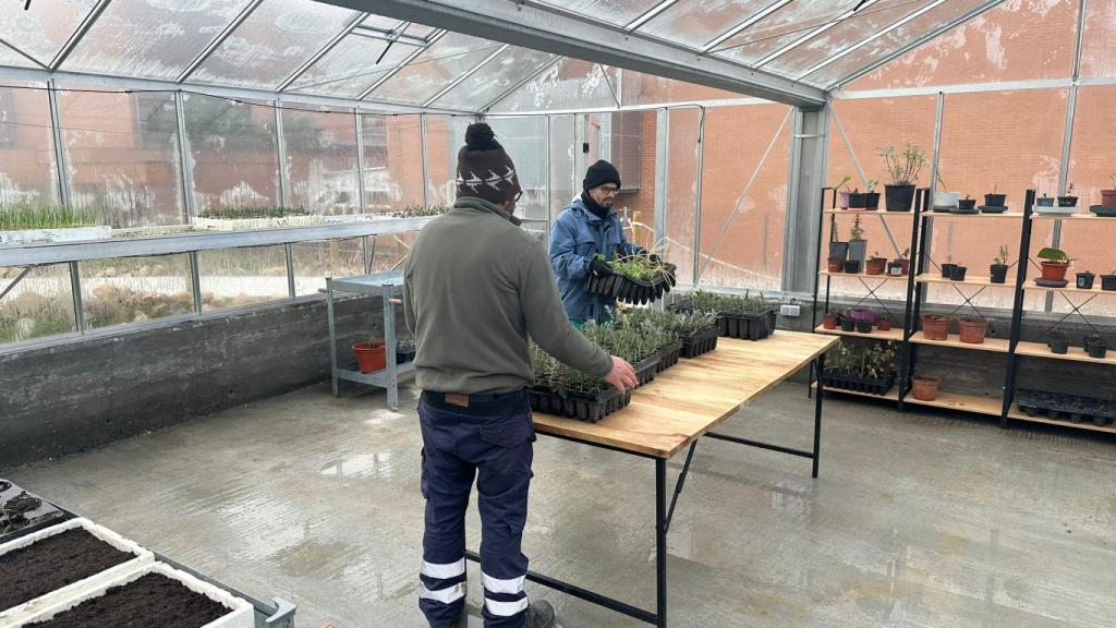 Dos de los usuarios en el jardín terapeutico de la Fundación Intras