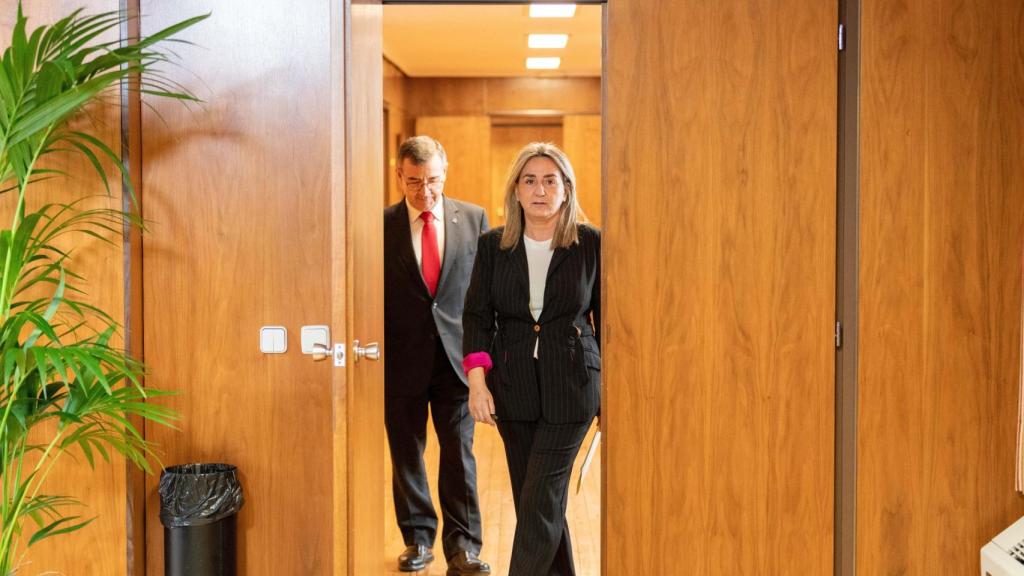 Milagros Tolón, delegada del Gobierno en Castilla-La Mancha.