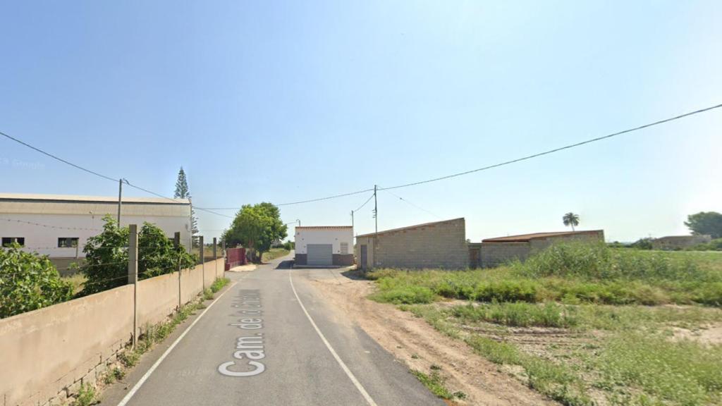 Camino de lo Chicharra, Catral (Alicante).