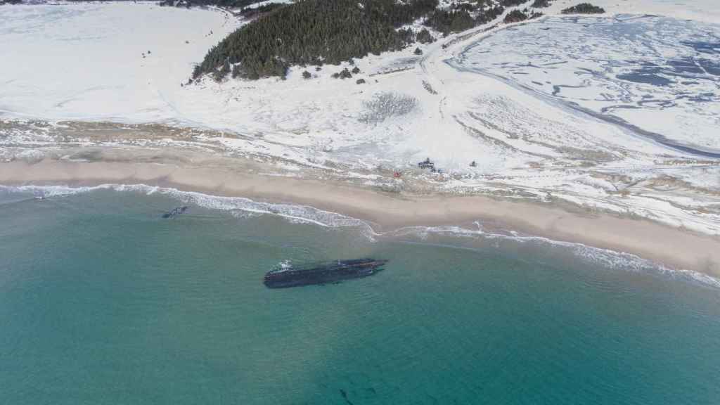 Restos del barco aparecido en Cape Ray, Canadá.