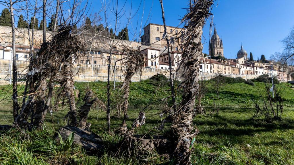 Suciedad en el río Tormes