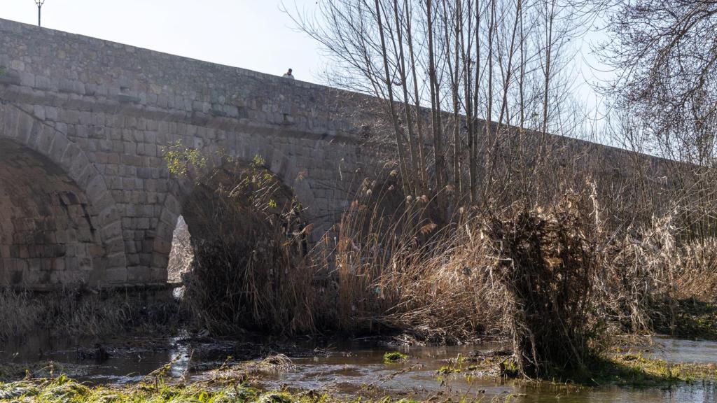 Los socialistas denuncian la acumulación de basura en el río Tormes