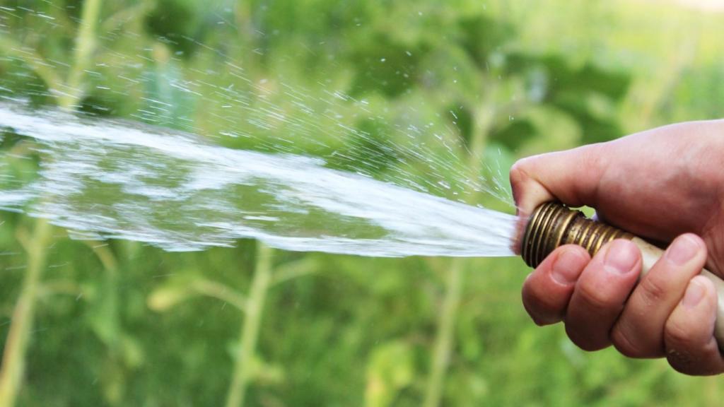 Una persona regando.
