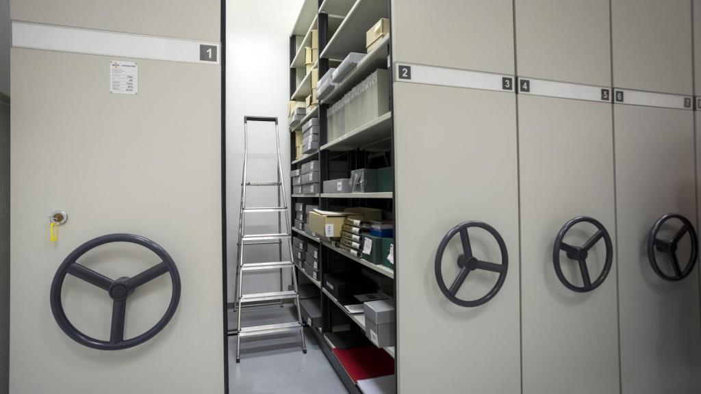 Fondos de la biblioteca del Museo Picasso.