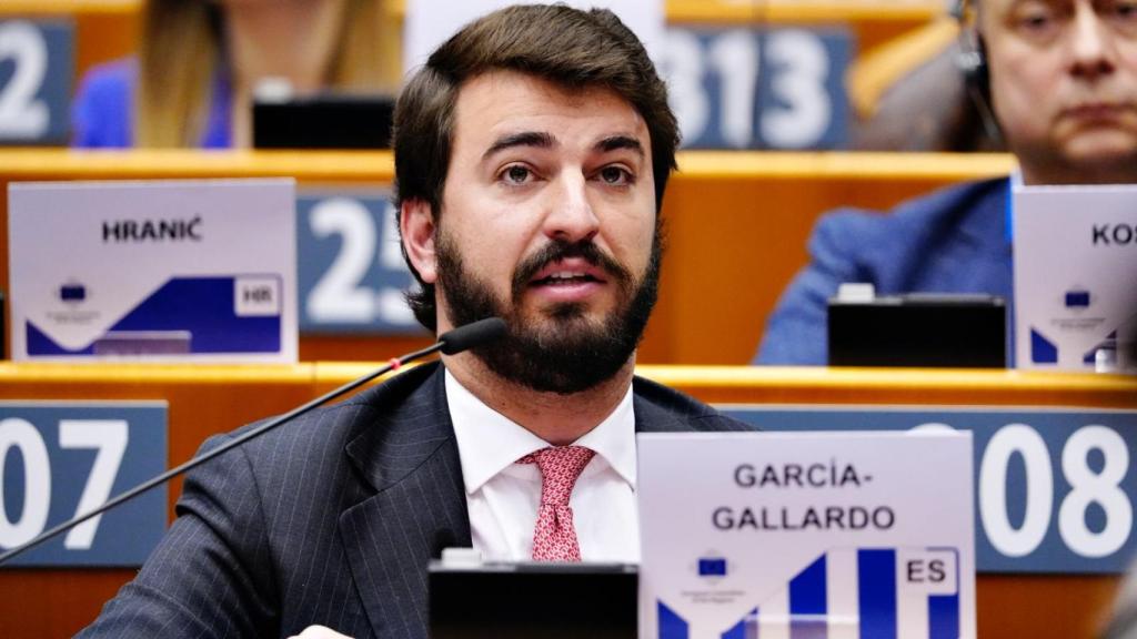 El vicepresidente de la Junta, Juan García-Gallardo, en una imagen de archivo