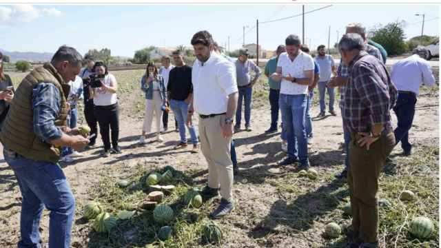 López Miras durante una visita a una explotación agrícola de sandias en la Región de Murcia.