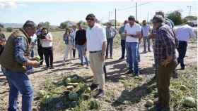 López Miras durante una visita a una explotación agrícola de sandias en la Región de Murcia.