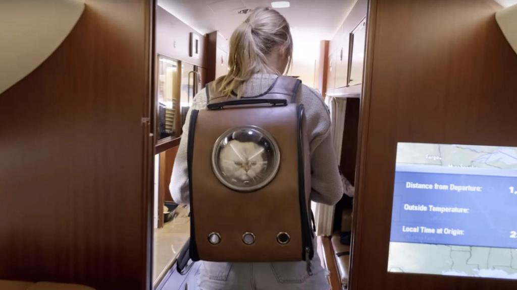 Taylor Swift lleva a su gato en una mochila.