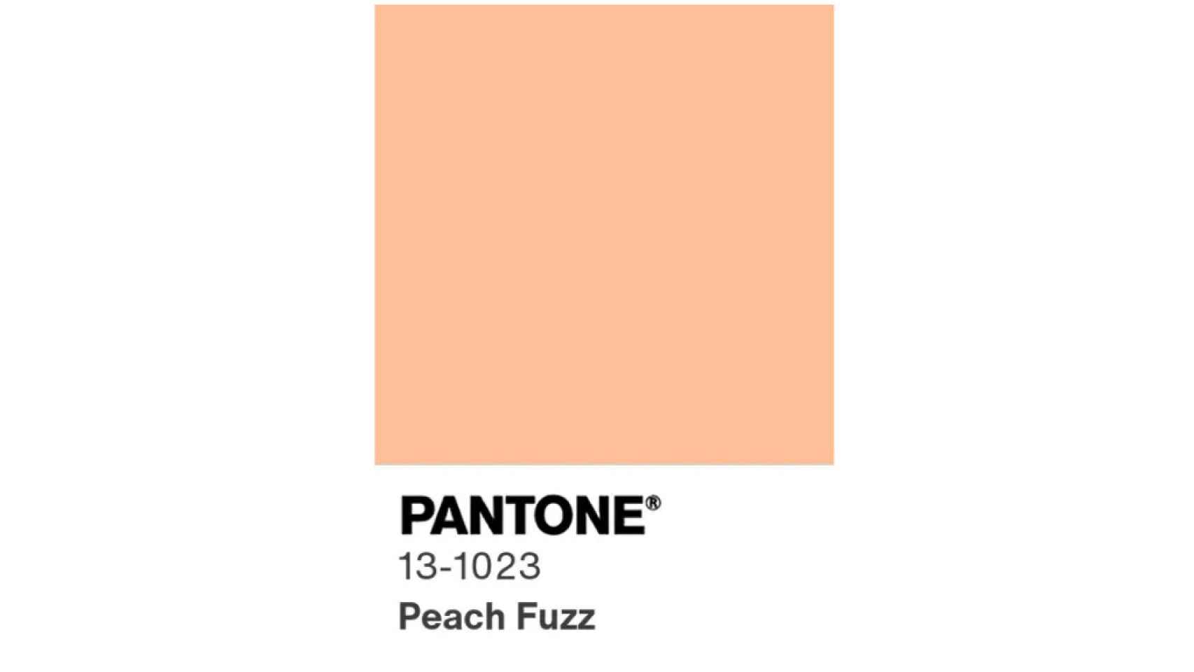Peach Fuzz, el Pantone Color 2024