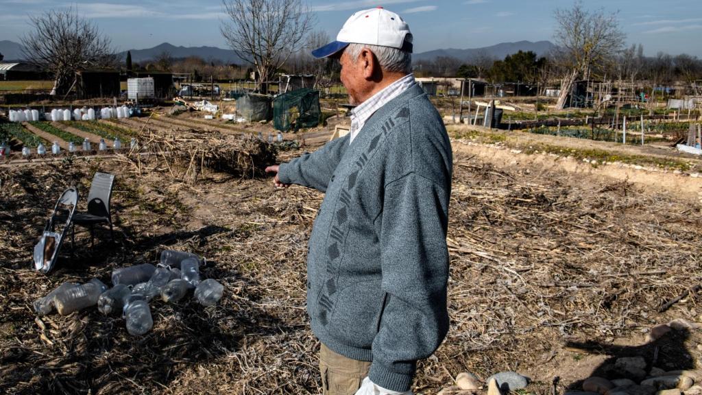 Un agricultor en las Hortes de Santa Eugènia, a 2 de febrero de 2024, en Girona, Cataluña.
