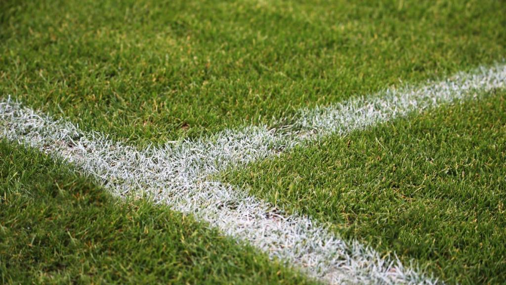 El césped de un campo de fútbol.