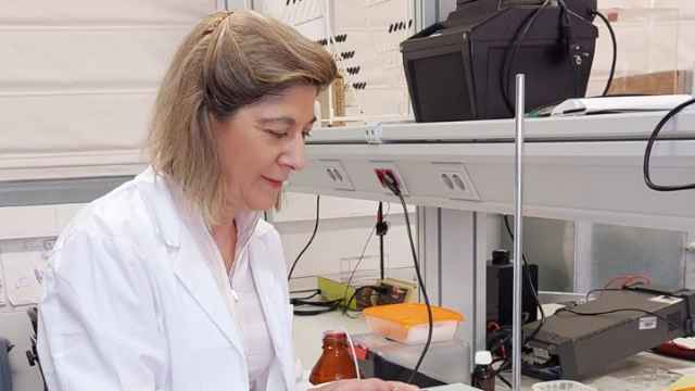 Profesoras de la UCLM logran con éxito desarrollar sensores químicos para medir contaminantes en el aire