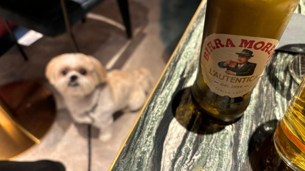 Con su cerveza Moretti te trasladas hasta Italia.
