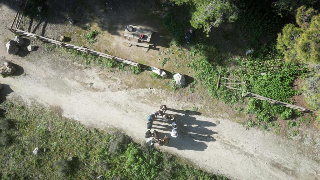 El dron da un punto de vista distinto que aporta una mayor calidad a los trabajos audiovisuales.