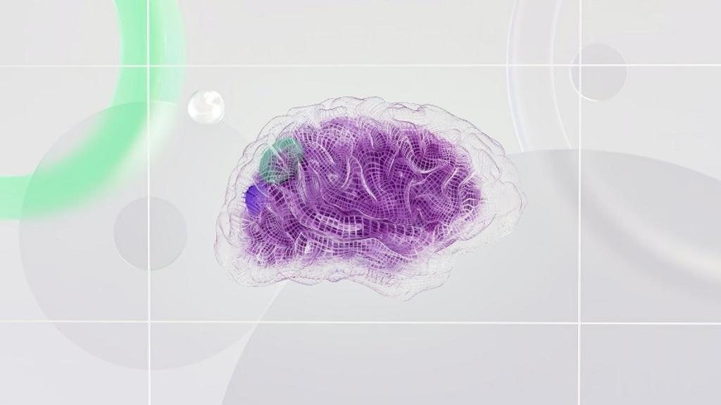 Cerebro. Imagen: Pexels/Google DeepMind