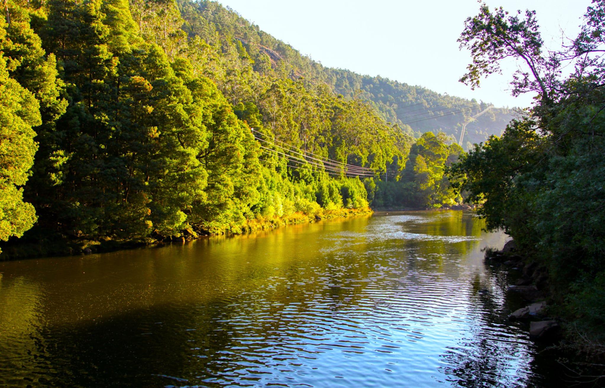 Ruta por la Devesa del Nimo en el río Tambre. Foto: Turismo de Noia