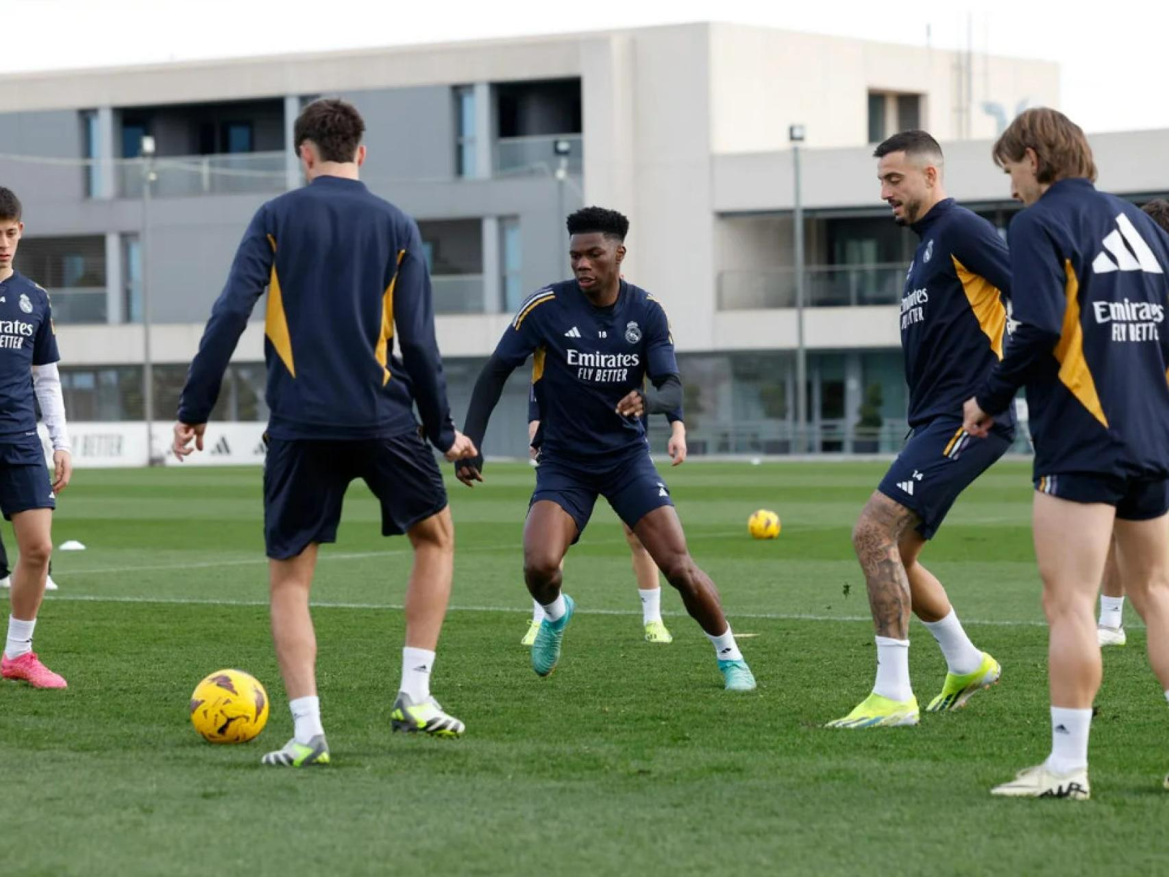 Real Madrid arranca el 2024 con el primer entrenamiento matinal -  Monitoreamos