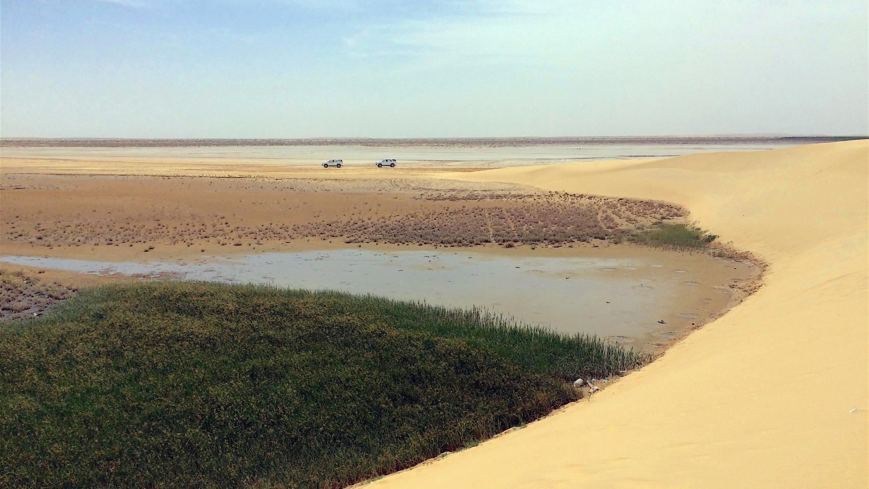 Los ecosistemas del lago Al-Asfar o Amarillo.