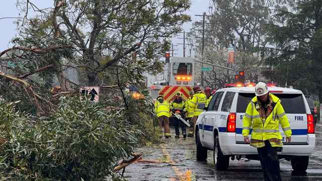Bomberos del condado de Santa Bárbara despejan un árbol que bloquea la calle.