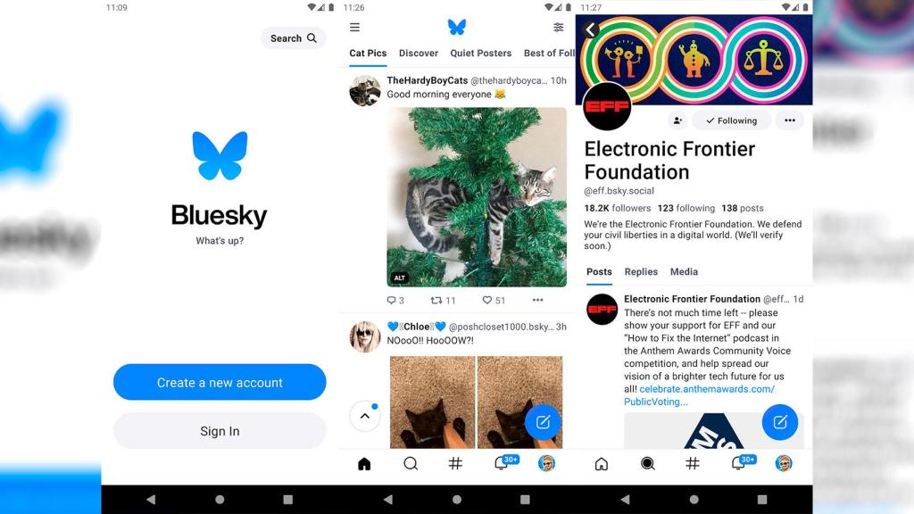 Imagen de Bluesky en su aplicación para Android