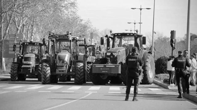 Protestas de agricultores y ganaderos en la provincia de Salamanca.