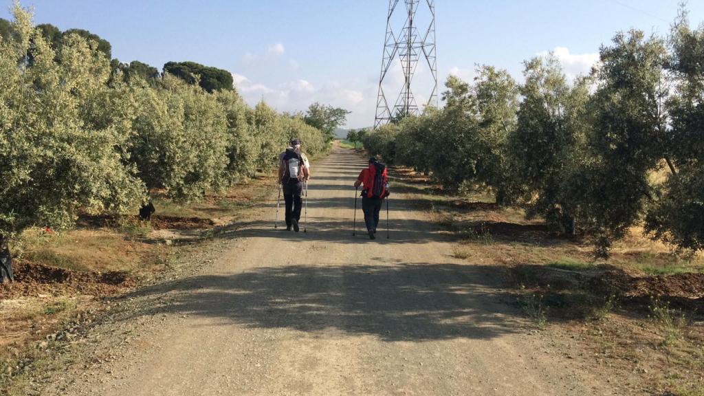 Camino Mozárabe de Santiago.