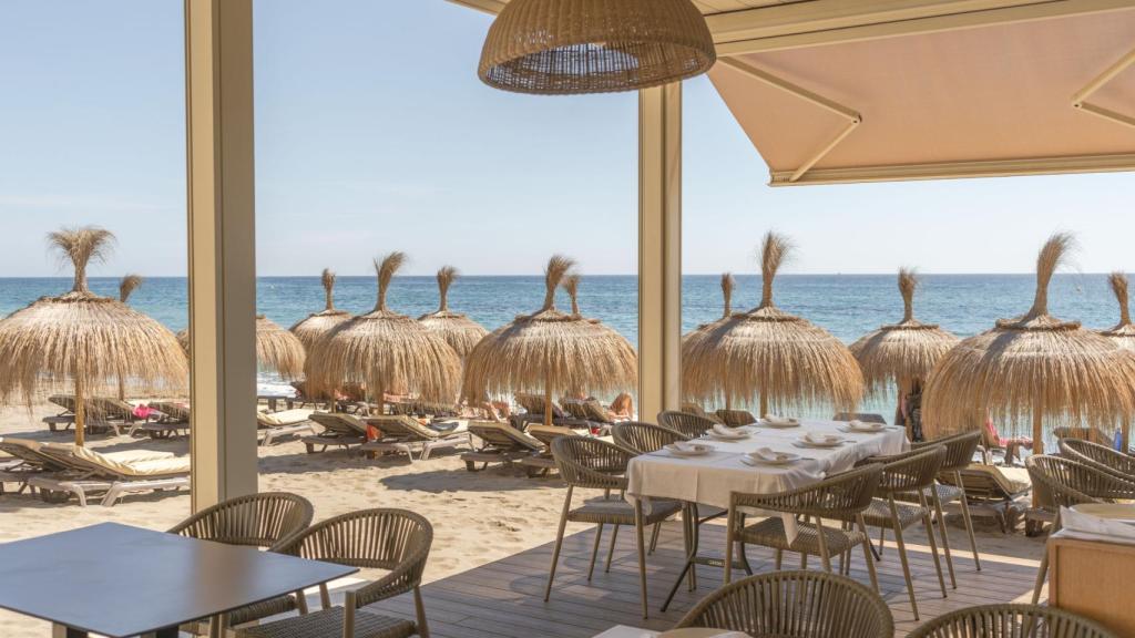 Así es Oasis, el mejor chiringuito de Málaga