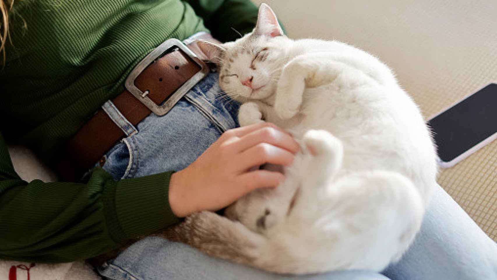 Un gato durmiendo sobre su dueña.