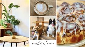 La cafetería de Santiago para disfrutar de los pequeños placeres de la vida… Adèlia