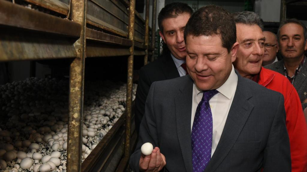 Emiliano García-Page observa un champiñón en la cooperativa 'Mercajúcar'.