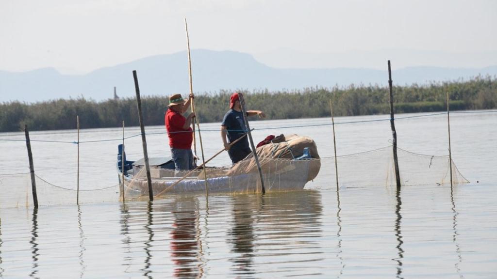 Una vista de las barcas en la Albufera, en Valencia.