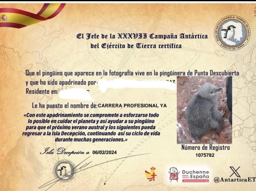El sindicato Usicam apadrina un pingüino en la Antártida y le pone de nombre Carrera Profesional Ya