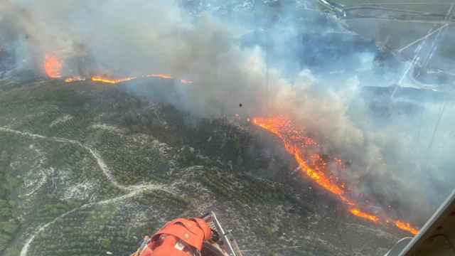 Incendio forestal en Hellín (Albacete). Foto: Plan Infomur.