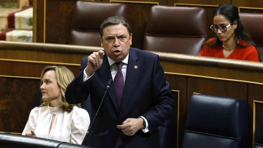 El ministro de Agricultura, Luis Planas, en el Congreso de los Diputados.