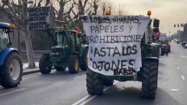 Tractorada celebrada este jueves en León.