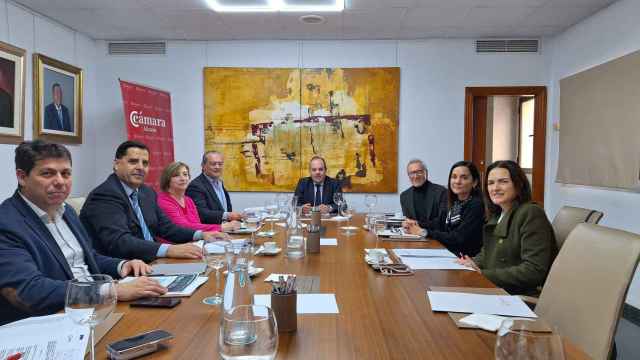 Los miembros del comité ejecutivo de la Cámara de Comercio de Alicante.