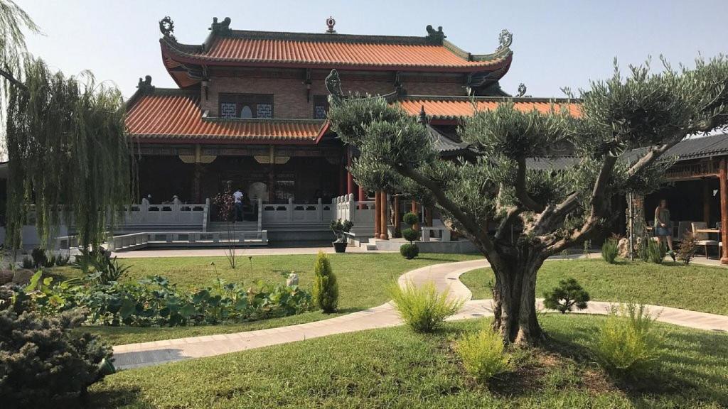 Dinastía lleva más de 20 años en Torrevieja.