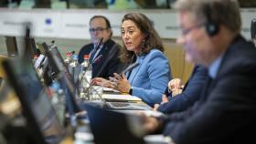 La consejera de Movilidad y Transformación Digital, María González Corral, en la reunión de la Comisión del Comité Europeo de las Regiones