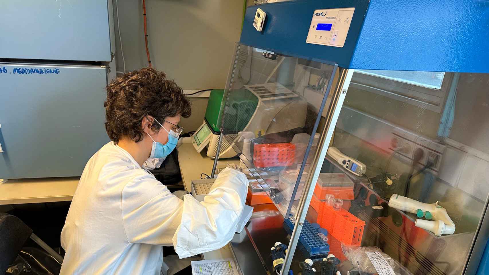Ángela Vázquez en el laboratorio de la base haciendo una PCR de gripe aviar.