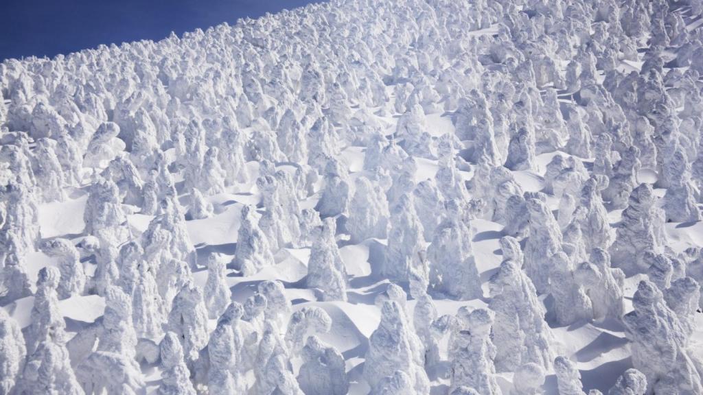 Los 'juhyo' de las montañas de la prefectura de Yamagata.