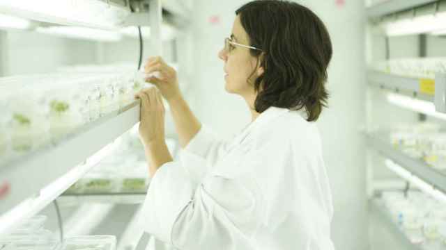 Eva Guzmán, en su laboratorio.