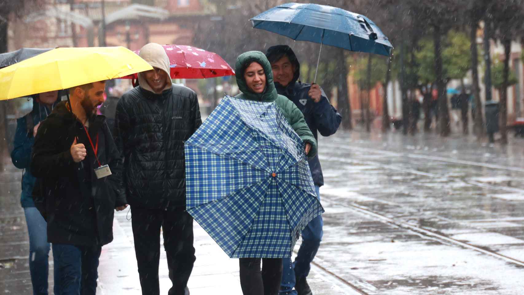 Sevilla, tras la borrasca Karlotta: inundaciones, viento y cientos de paraguas