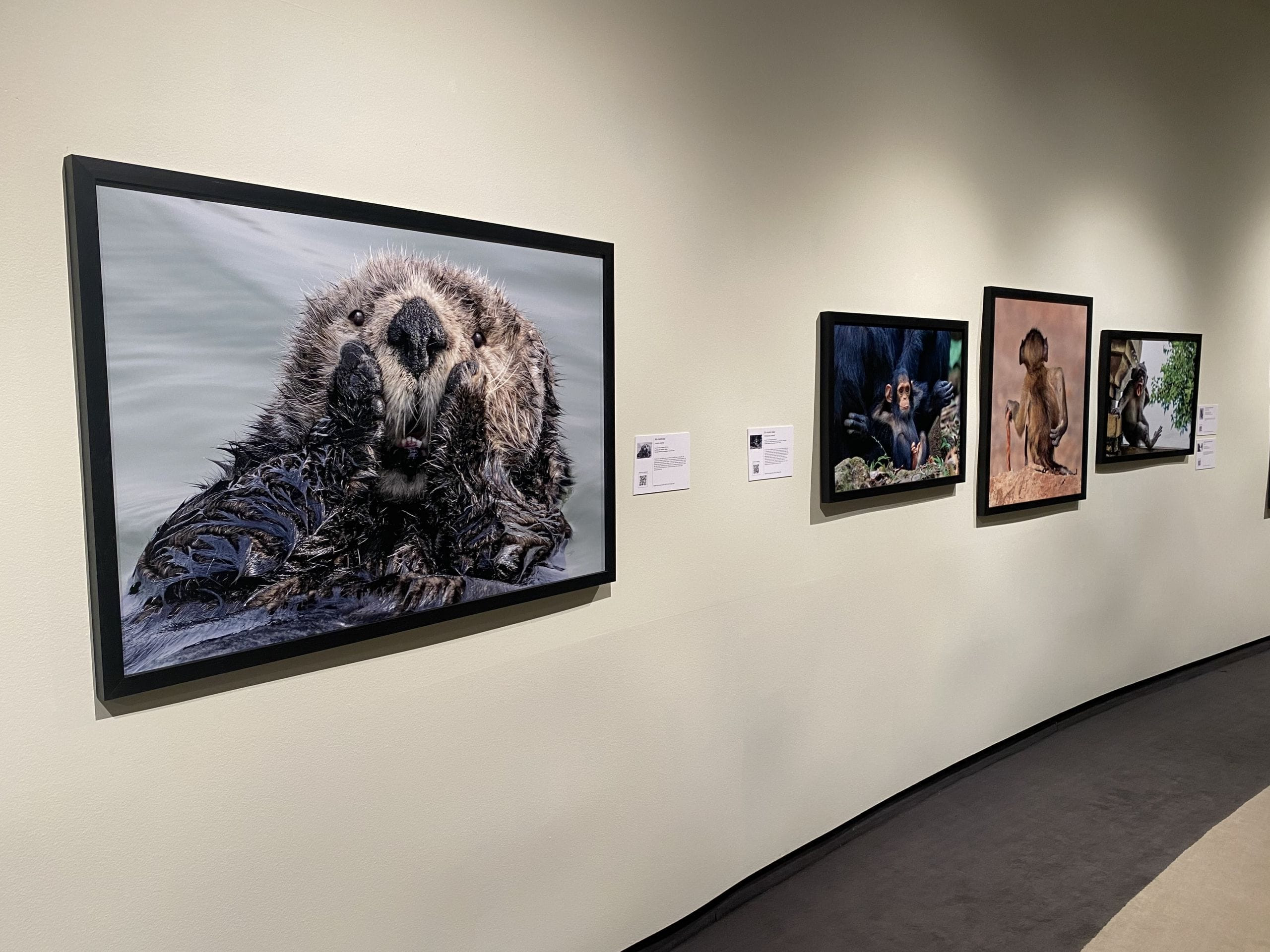 Algunas de las fotografías de la exposición.