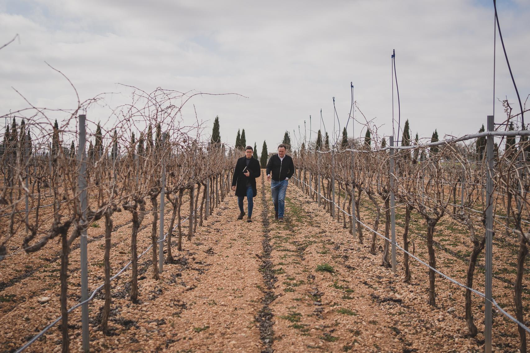 Hilario García, paseando con un reportero de EL ESPAÑOL | Porfolio por las vides centenarias que producen las uvas del vino de AurumRed.