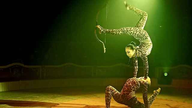 Un número de acrobacias y contorsionismo del Circo Raluy Legacy.