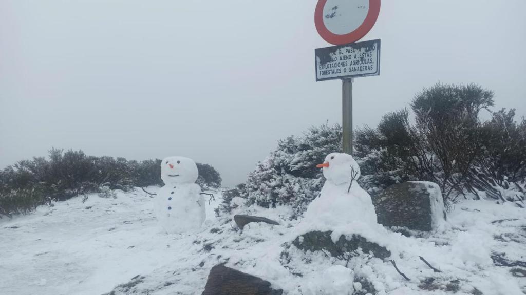 Laguna de los peces nevada