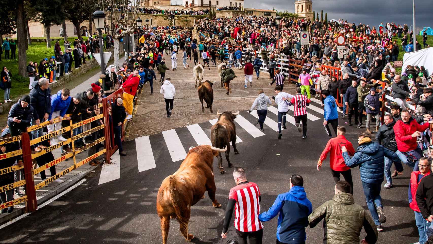 Vicente / ICAL. Carnaval del Toro de Ciudad Rodrigo en la jornada del sábado