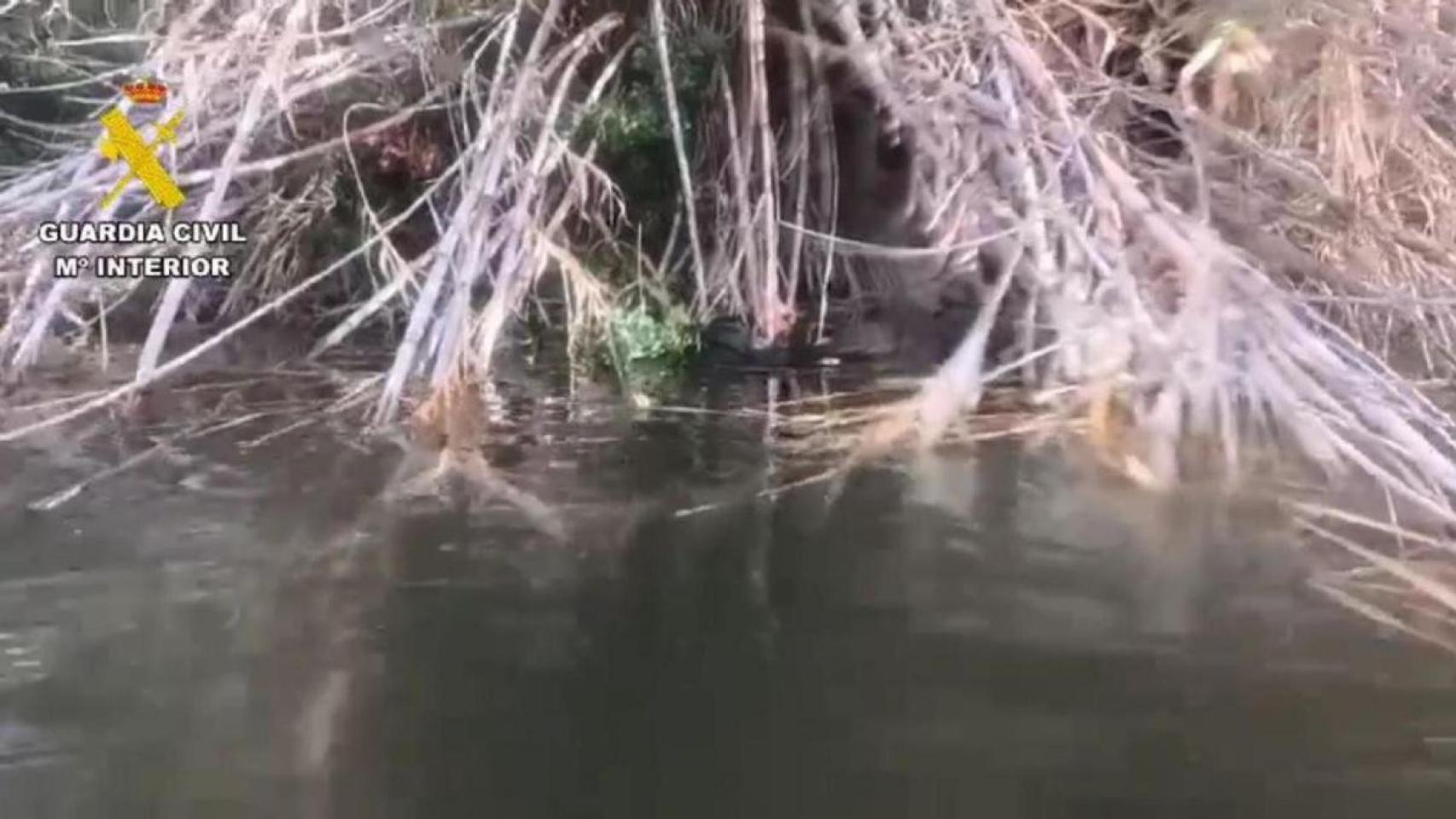 Foto de la zona donde fue hallado el cuerpo sin vida, facilitada por la Guardia Civil.