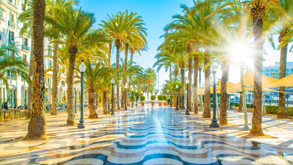 El paseo marítimo de Alicante.